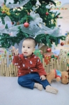 Merry Christmas 2024 - Ghi dấu mùa Giáng sinh an lành Hoa Trạng Nguyên